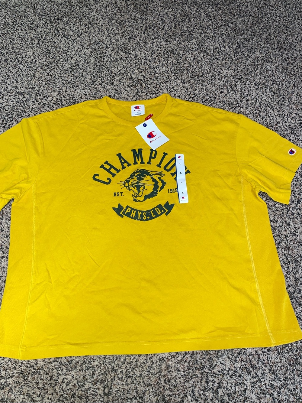 Champion Relaxed Fit Graphic Logo Boxy T-Shirt Gender Neutral Size L NWT
